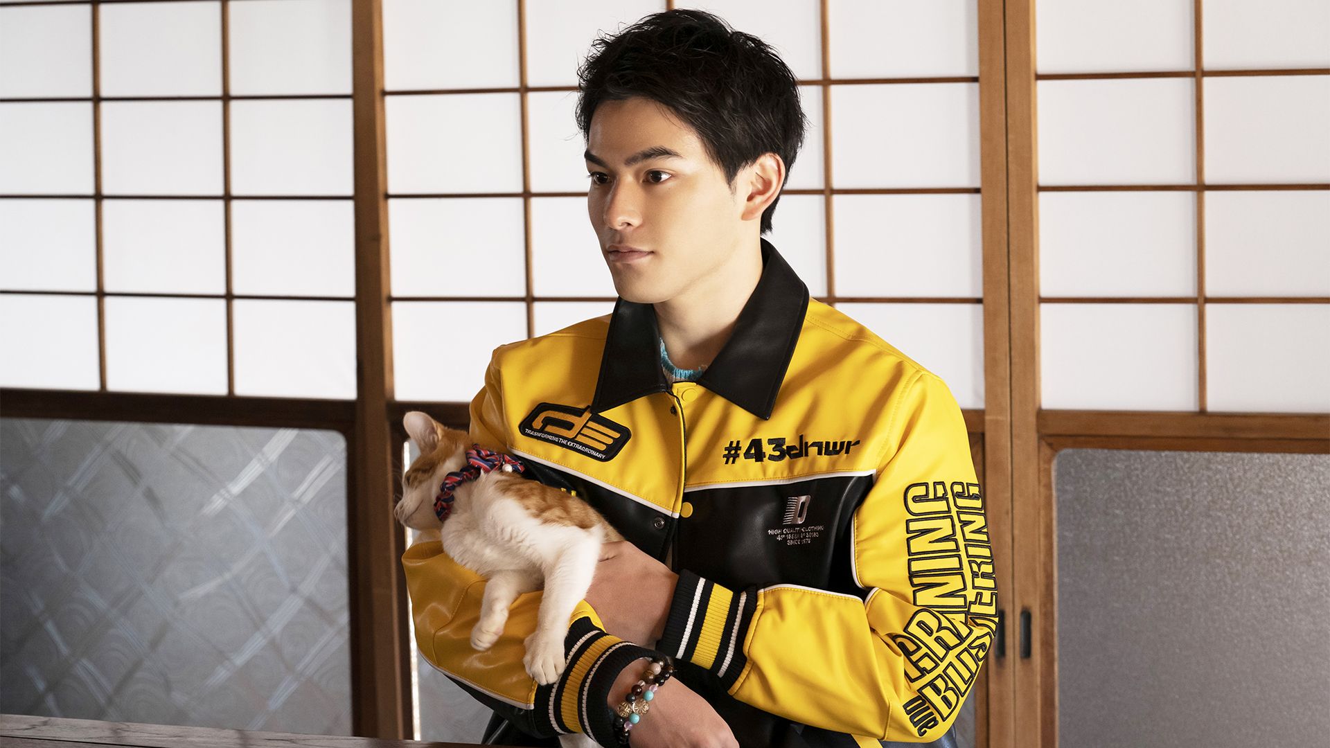 第5話 猫は、同意のない変化を嫌う