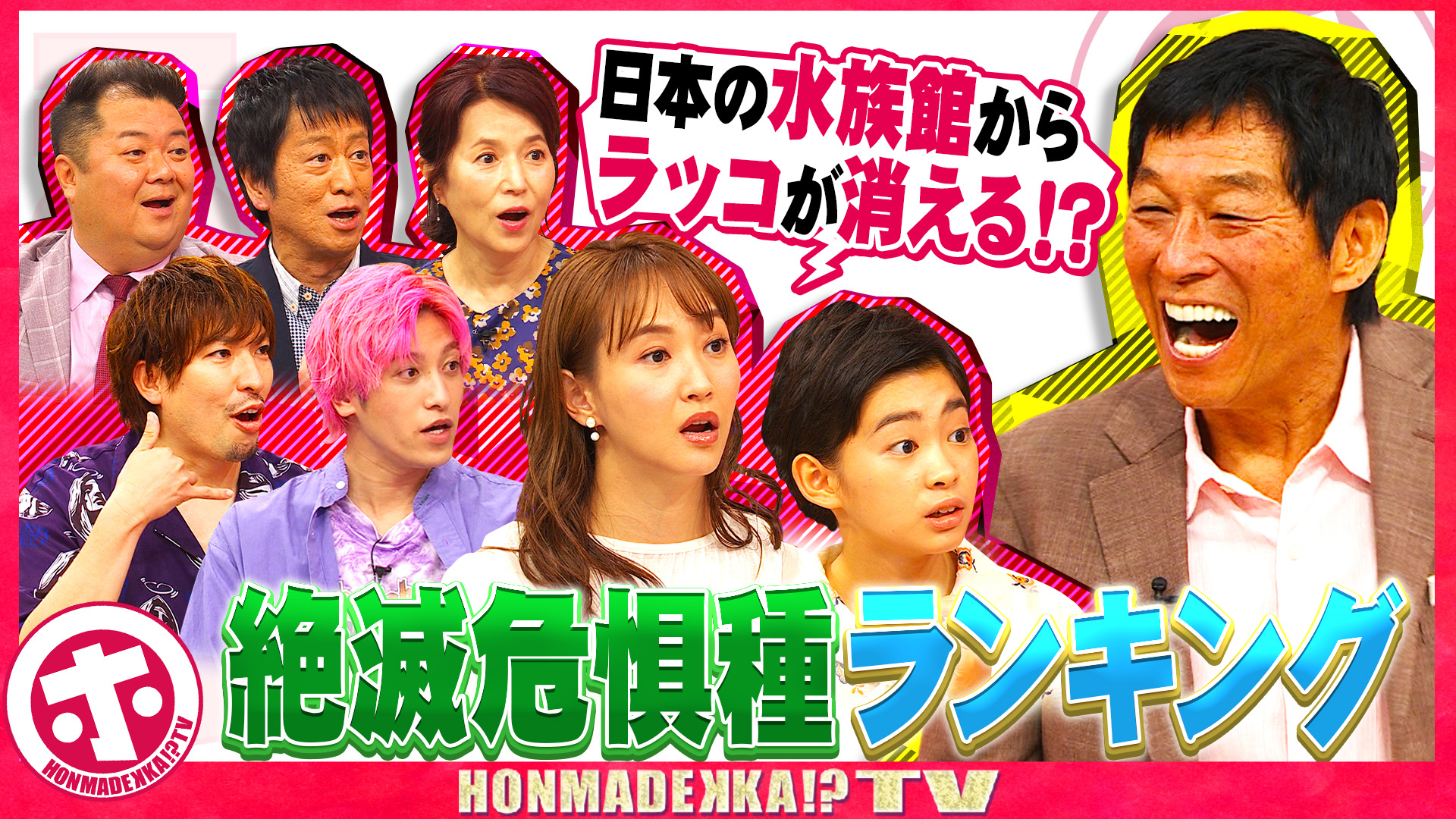 知らないうちに消えてる…絶滅危惧種ランキング