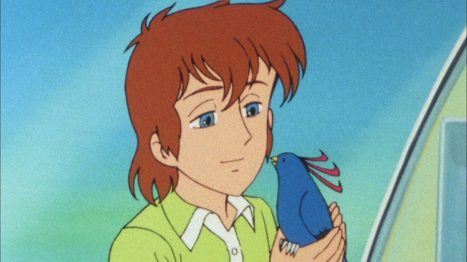 青い鳥をみた少年