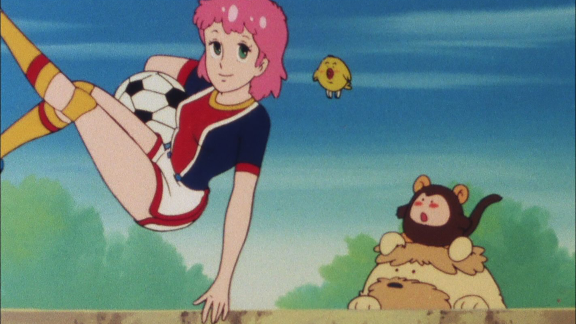 魔術師と11人の少年