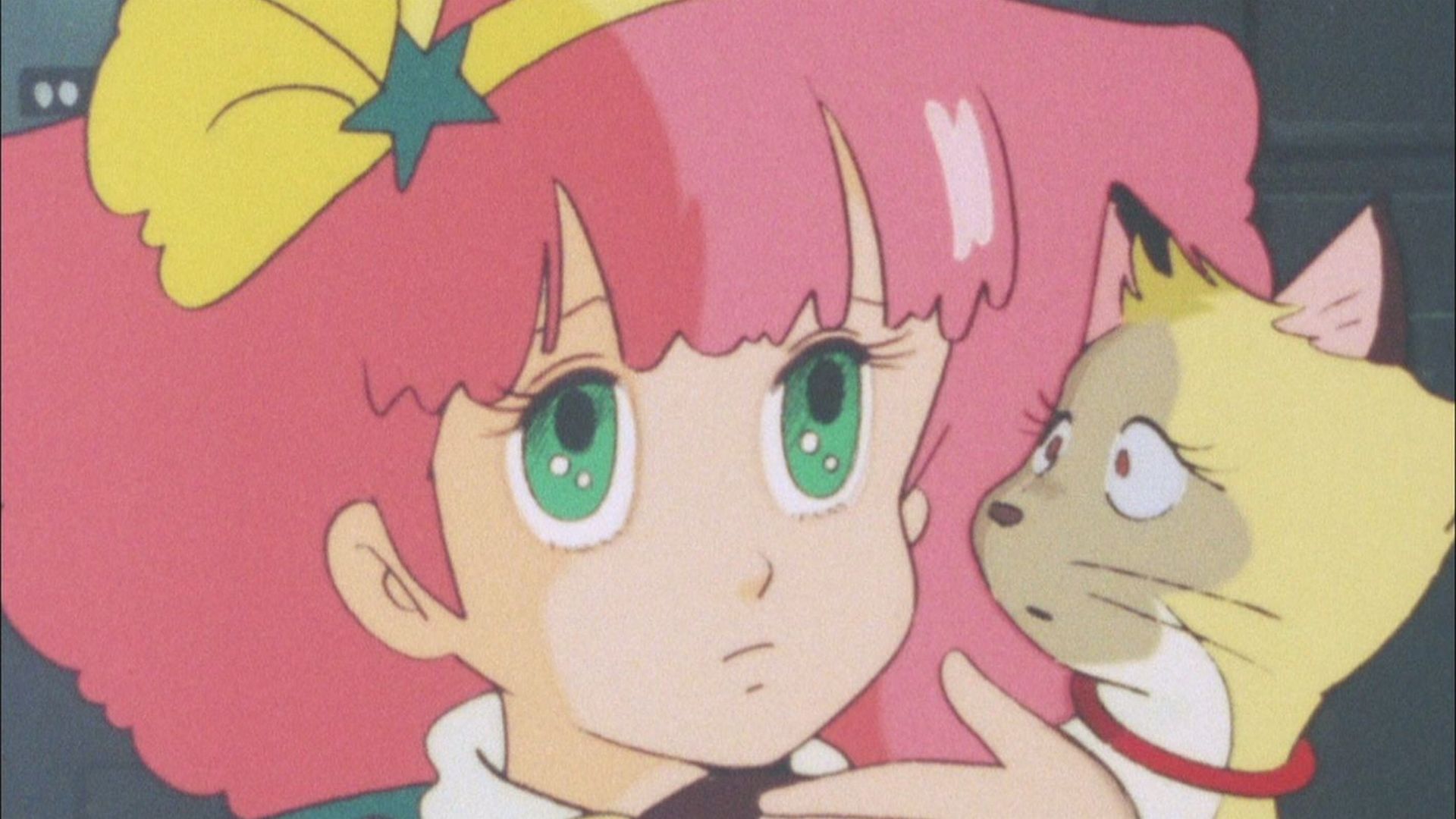 間違いだらけの大作戦