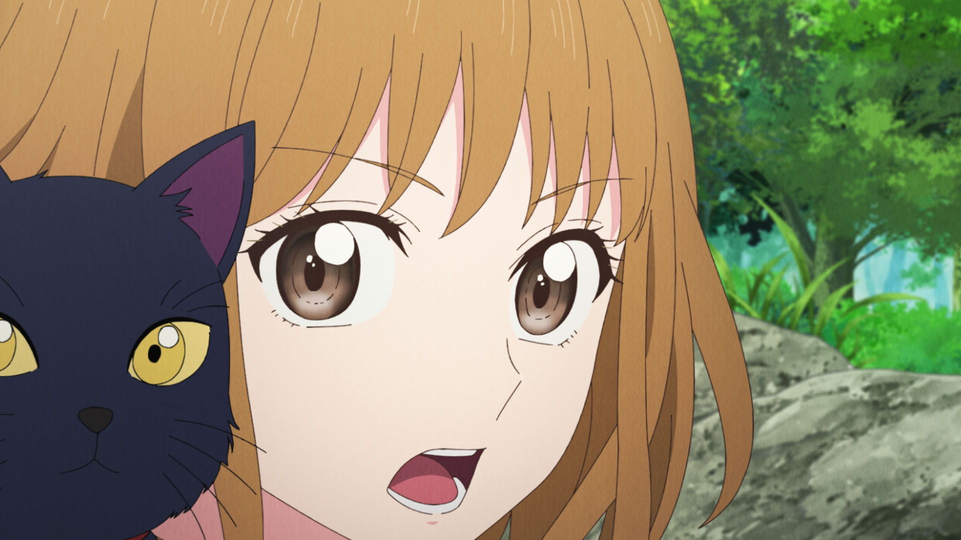 猫の森には帰れない