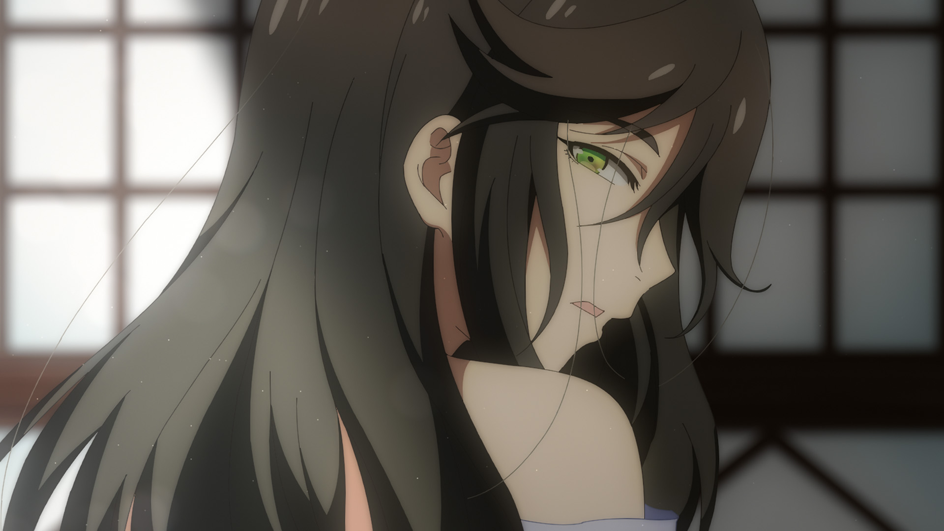 （本日、定休日です。）