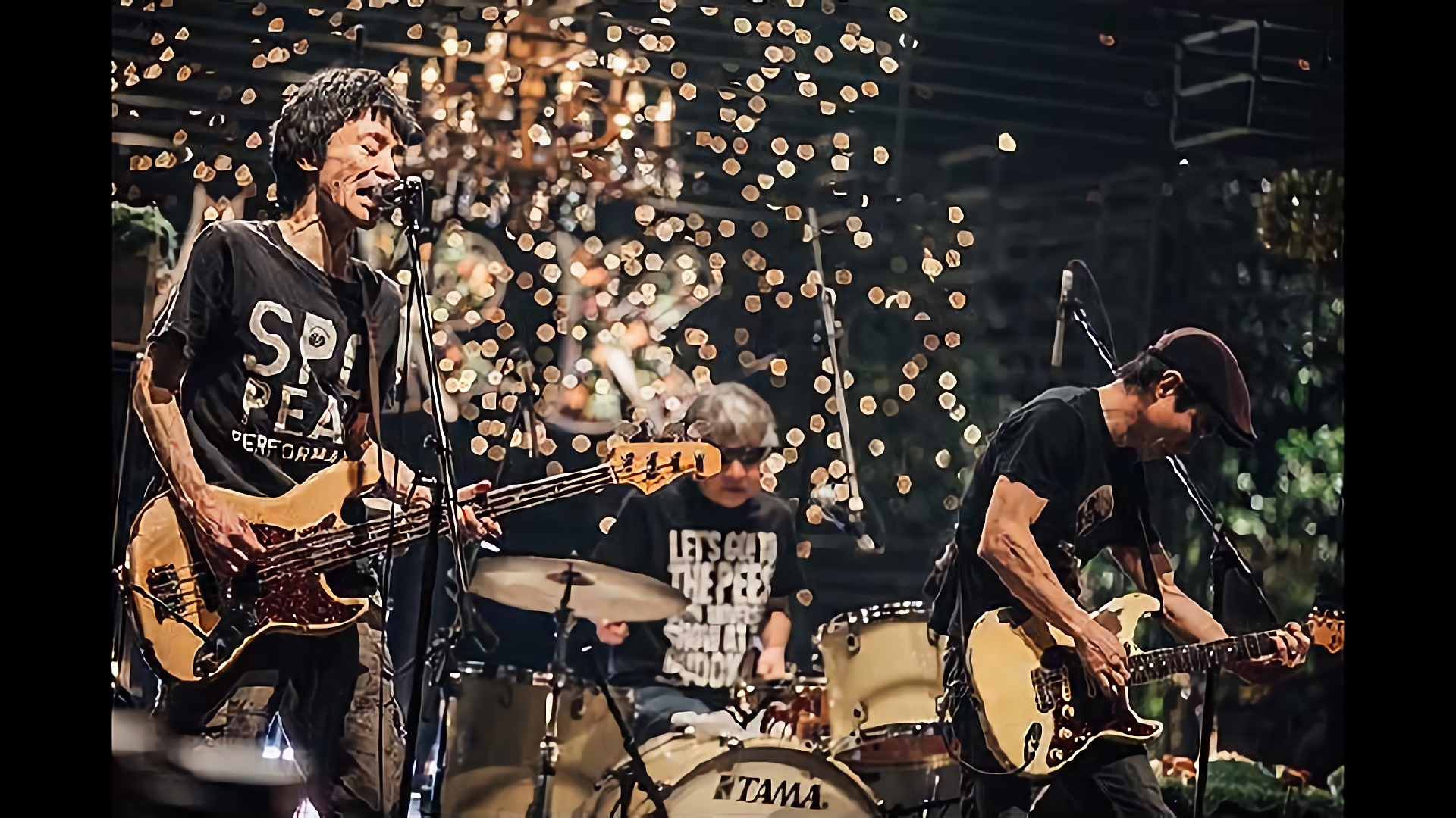 -LIVE- THE ピーズ