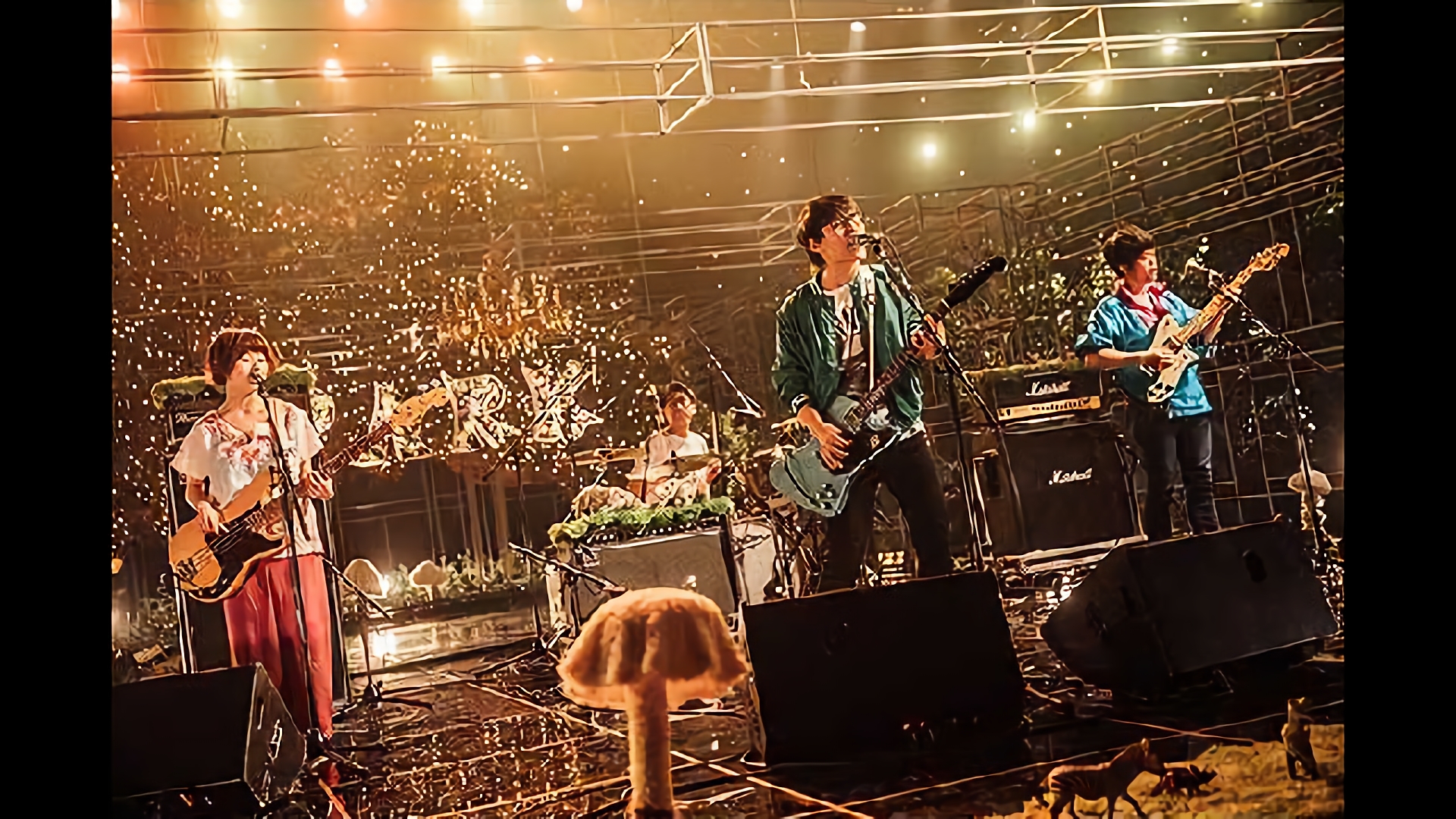 -LIVE- ナードマグネット