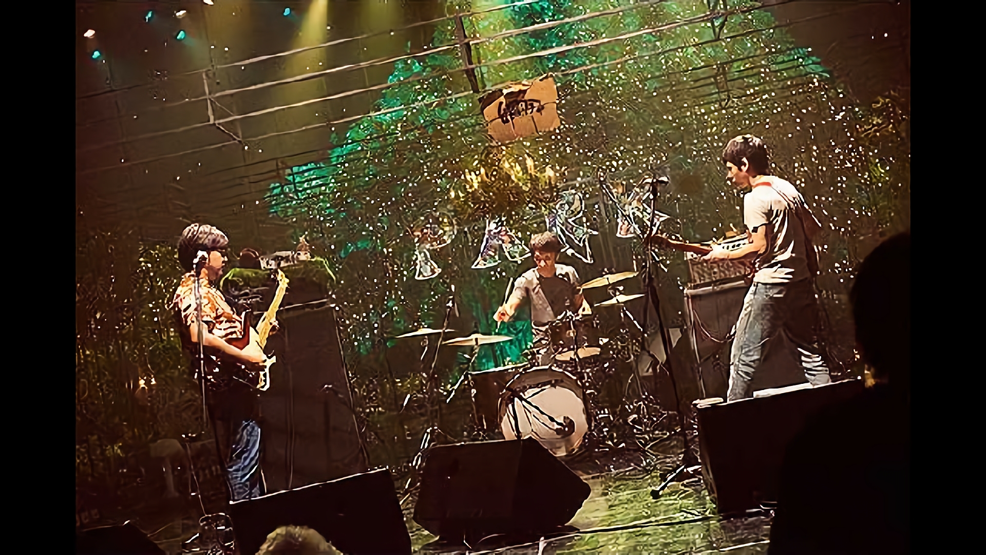 -LIVE- 台風クラブ