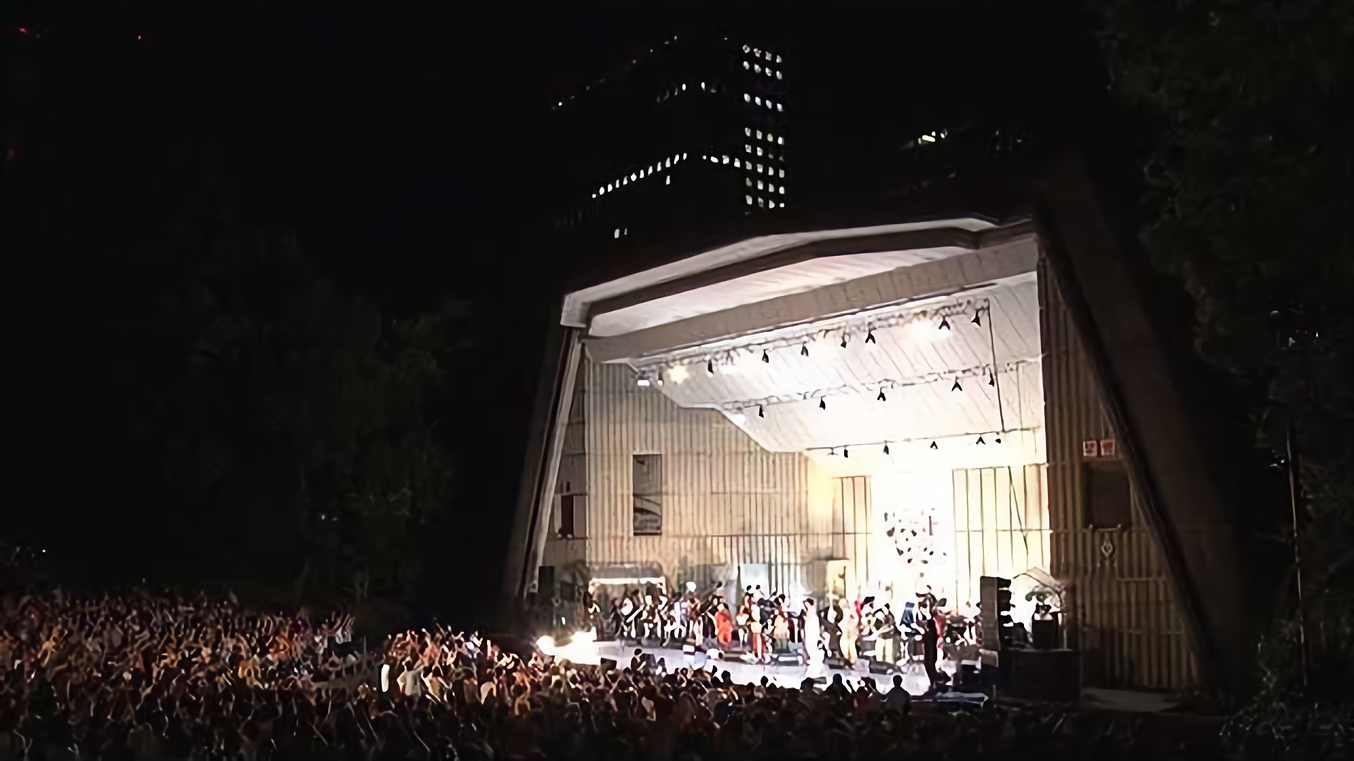 【PARKSIDE】35年目のカーネーション 「サンセット・モンスターズ」