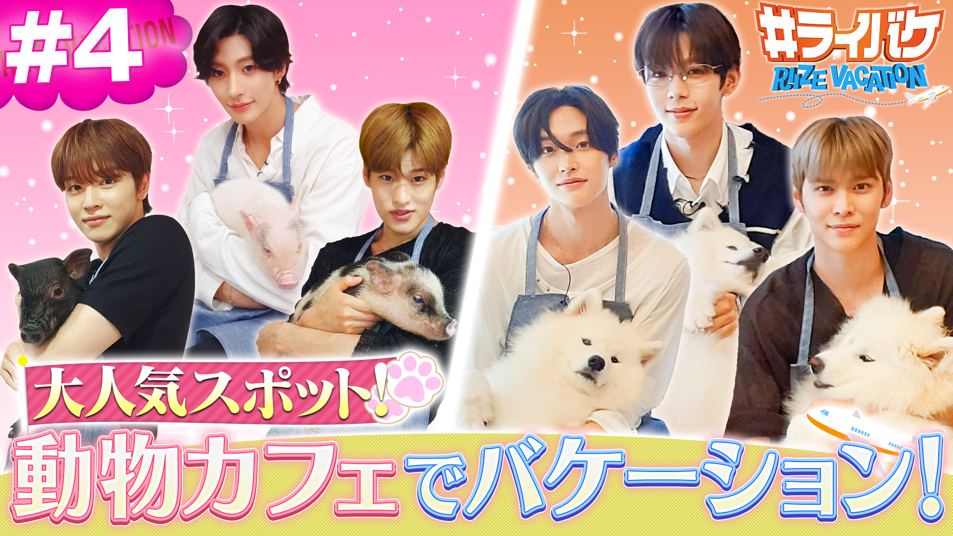 ＜FOD限定＞▼原宿の動物カフェで癒しの時間