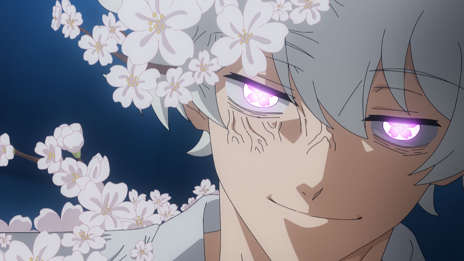 新しい桜