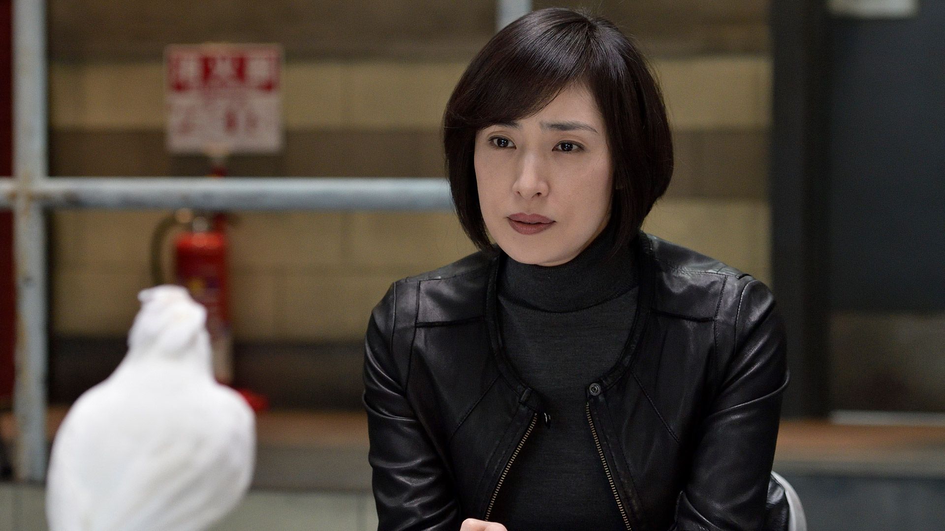 オウムを飼う二人