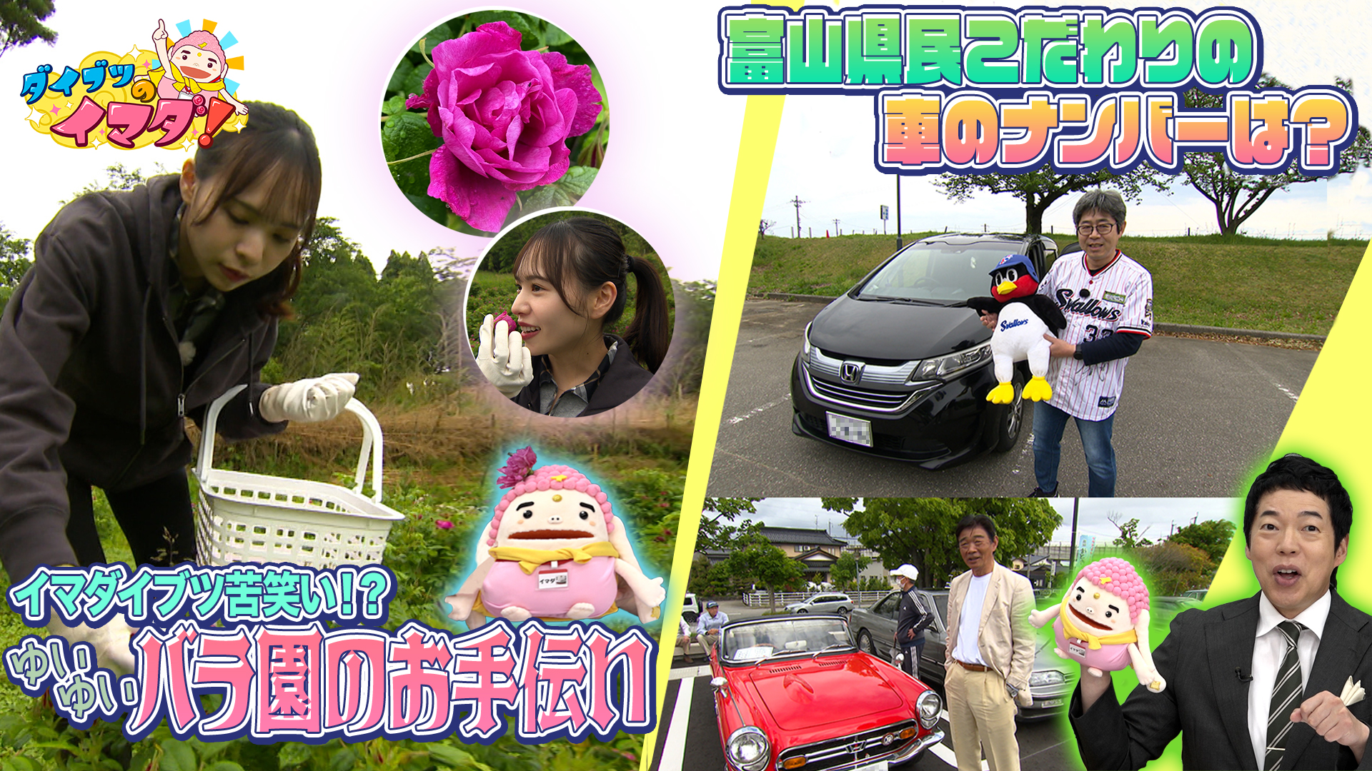 富山が日本一！バラの収穫お手伝い＆車のナンバー大調査