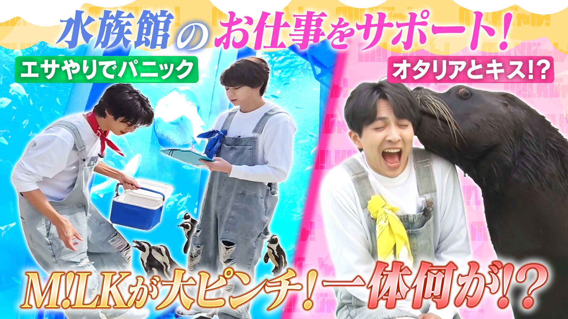 「八景島シーパラダイス」