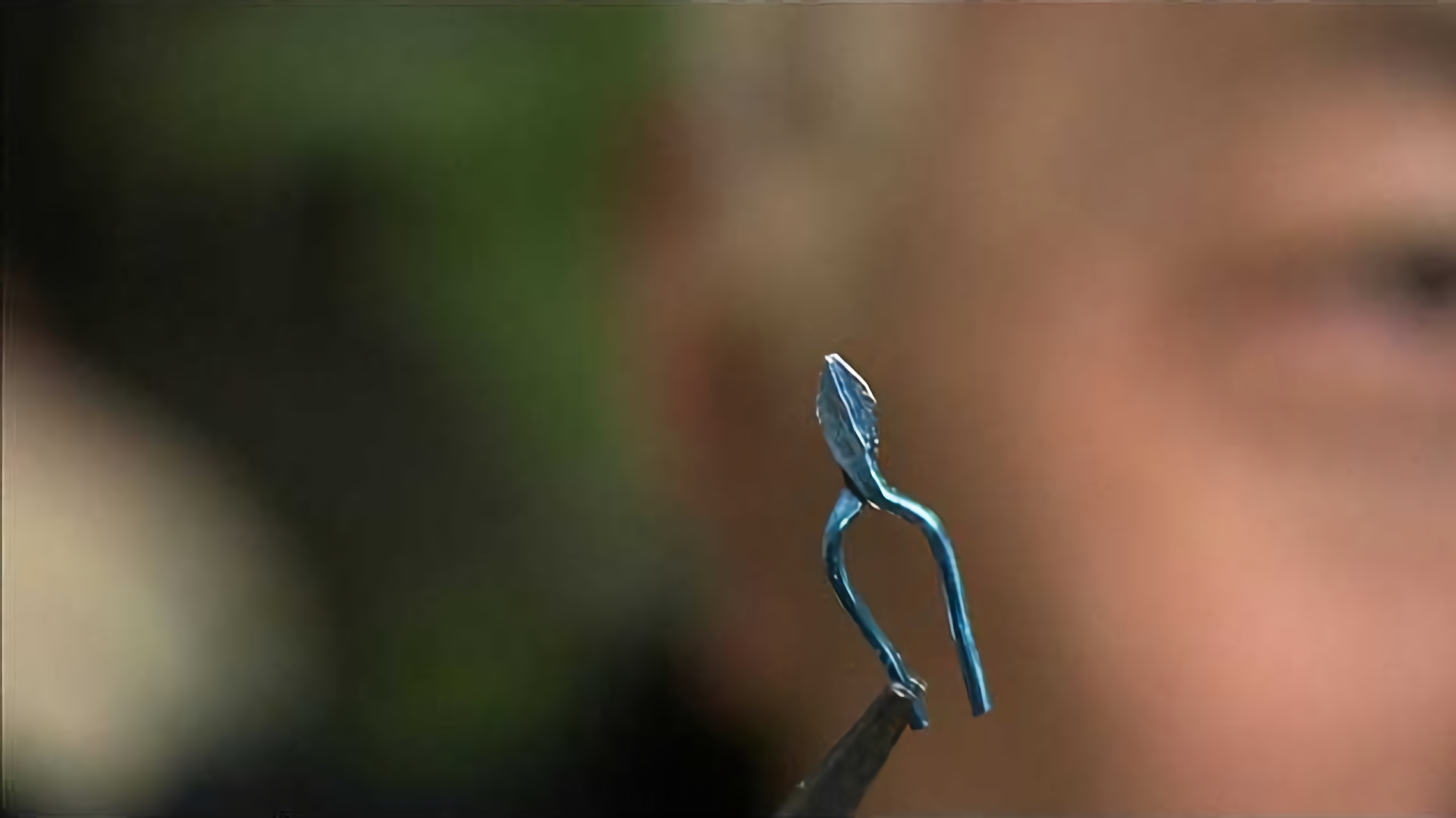 いっそワタシはドールハウス職人！