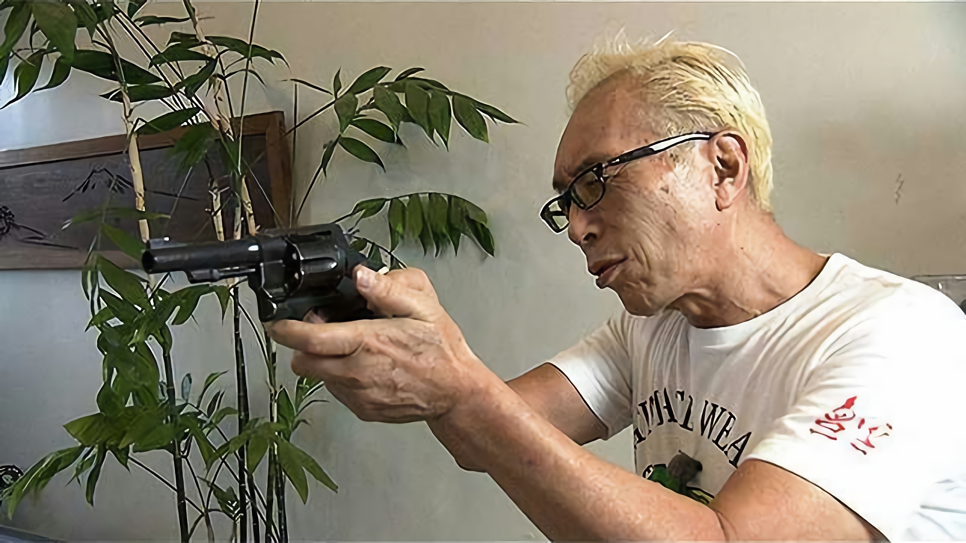 来夏は君が主役だ！？