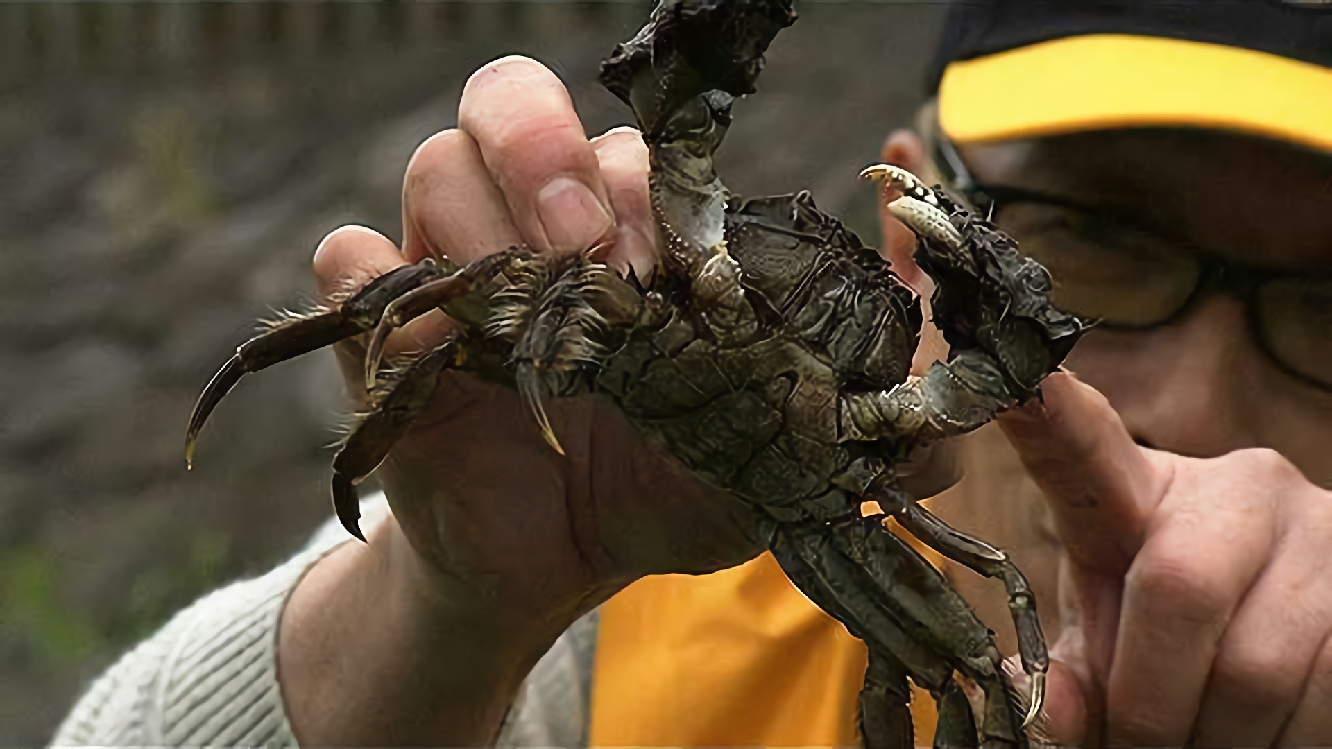 身近な自然で、捕ったど～！