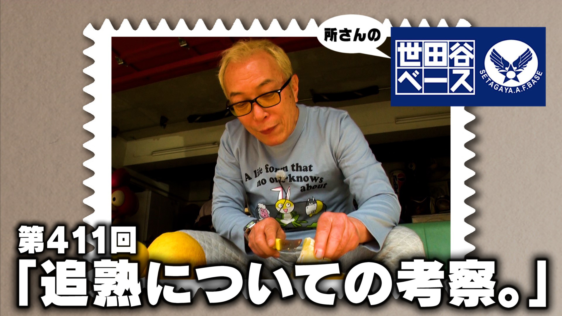 追熟についての考察。