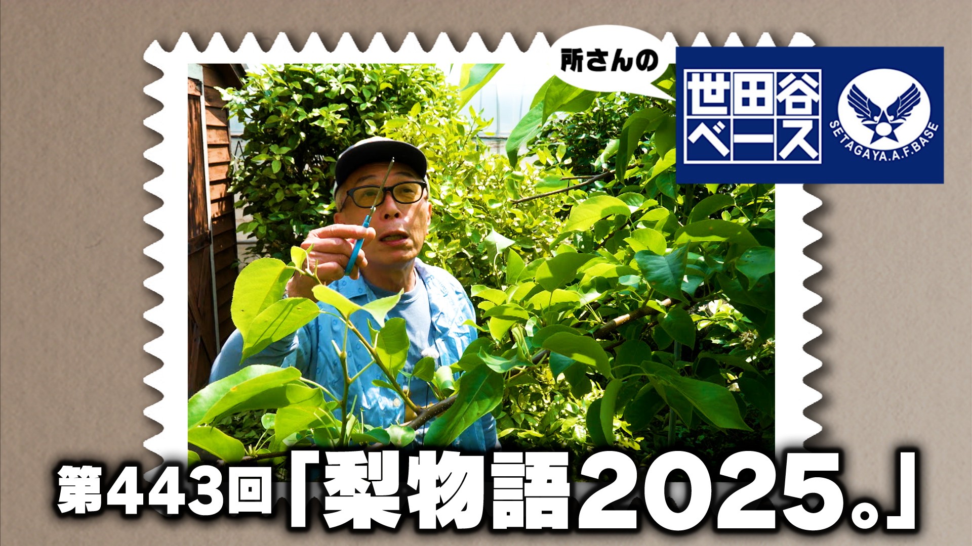 梨物語2025。