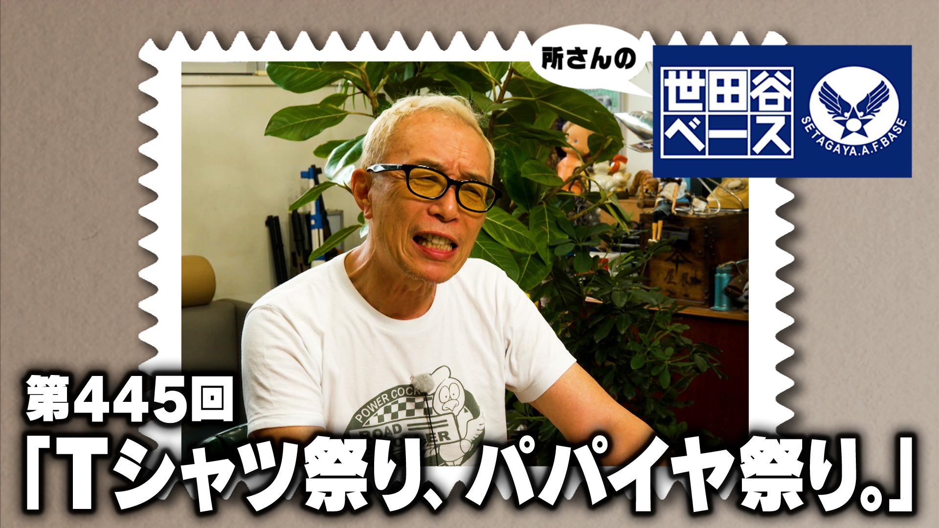 Tシャツ祭り、パパイヤ祭り。