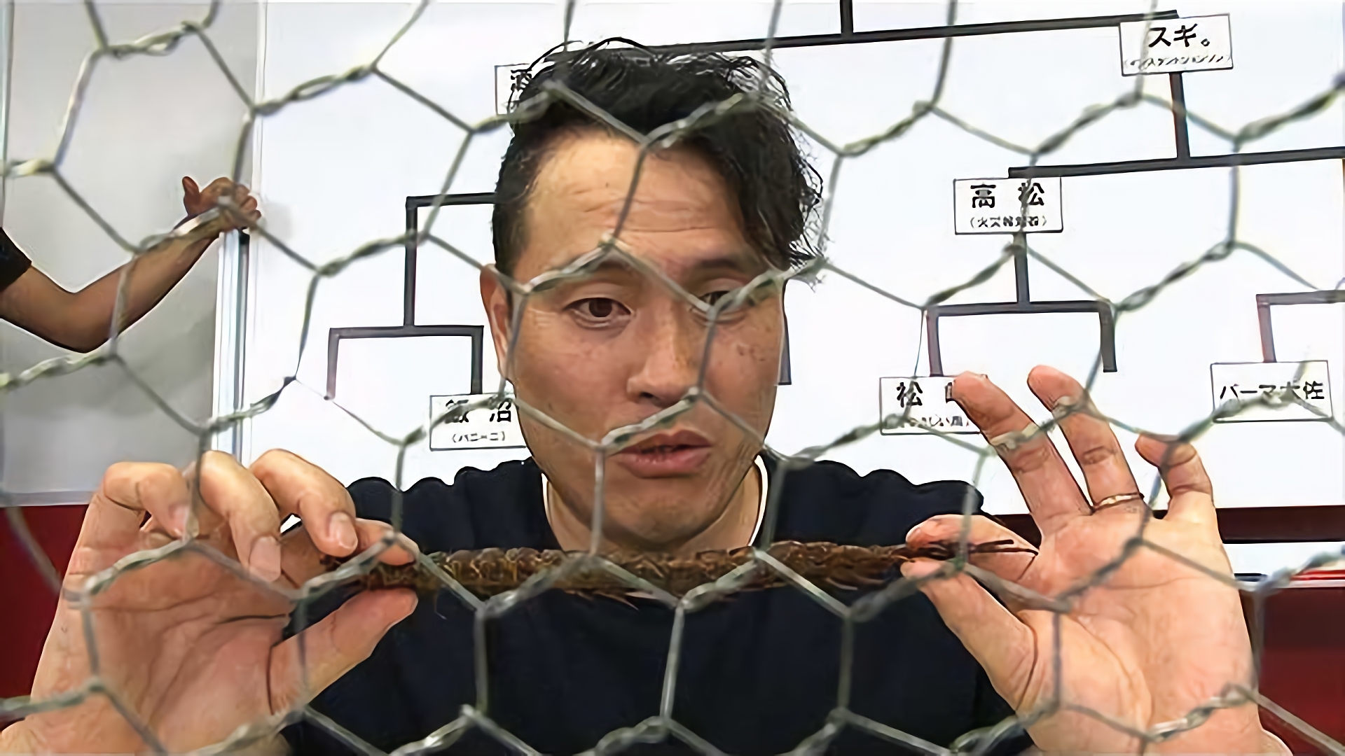 『TFC（タガメファイトクラブ）』 ～新たな”虫スター”を発掘するべく若手に虫を食べさせてみた～