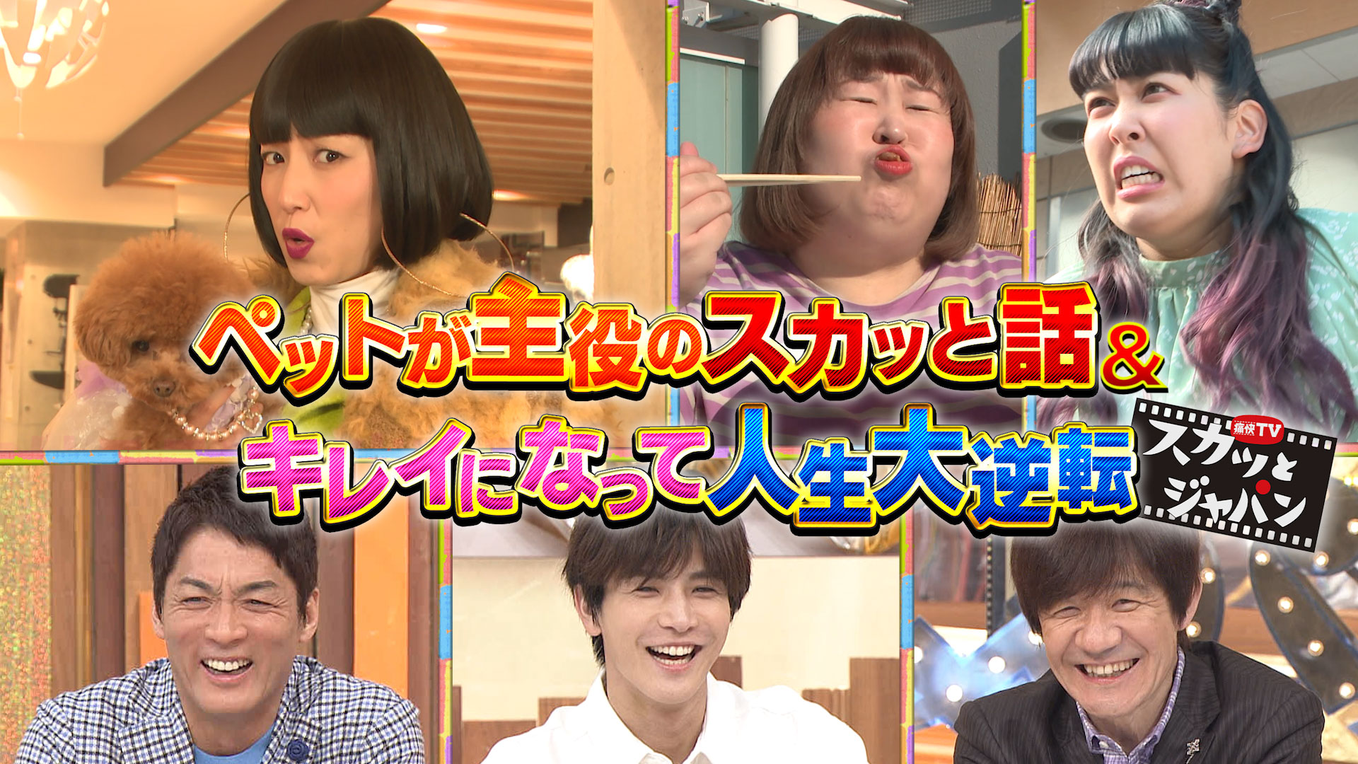ペットが主役の実話＆キレイになって人生大逆転ＳＰ