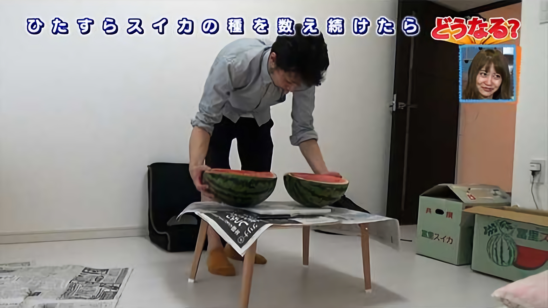 コオロギ女優のカウンセリング道！