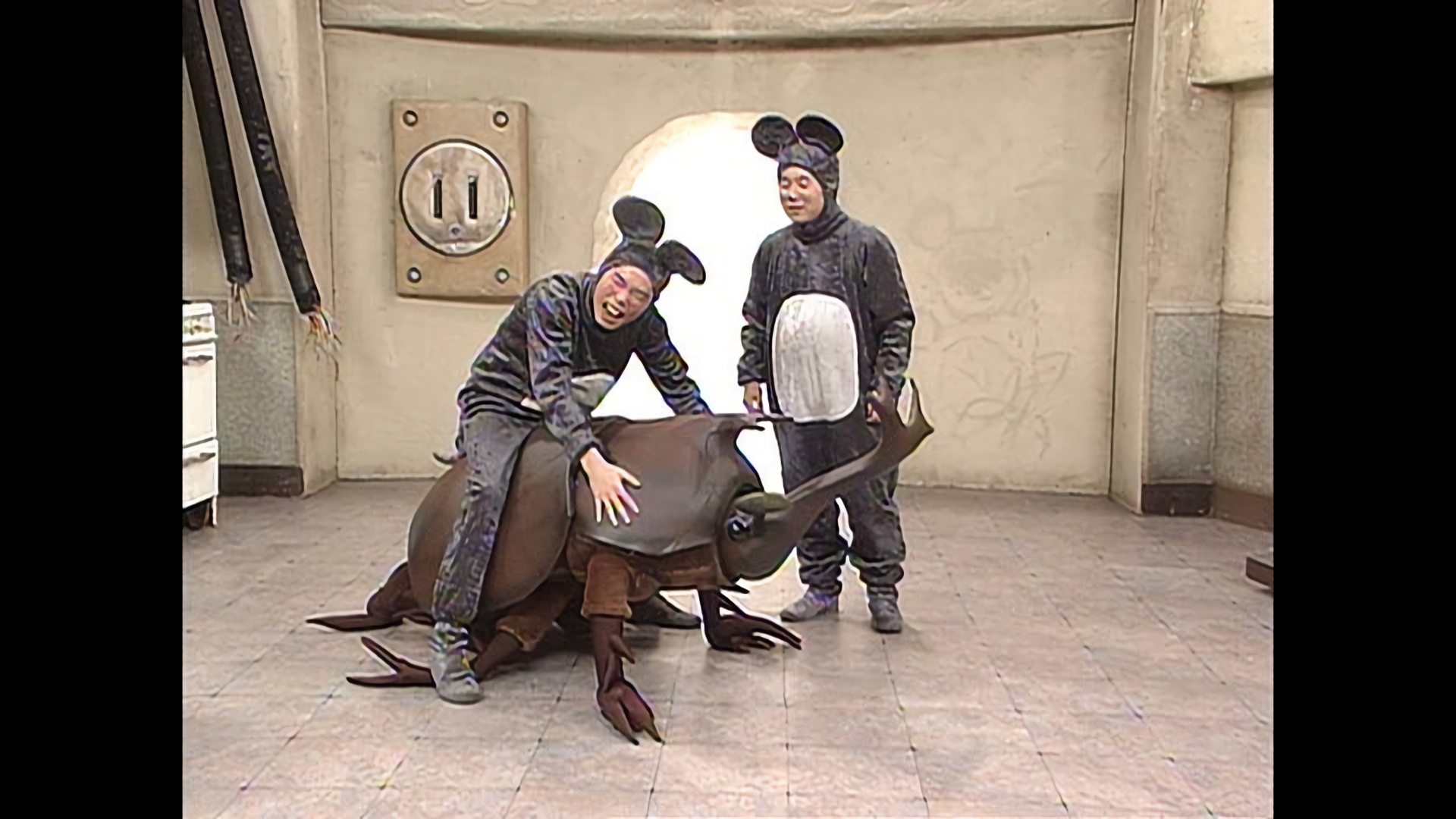 夏休みコント20選「カブトムシ」