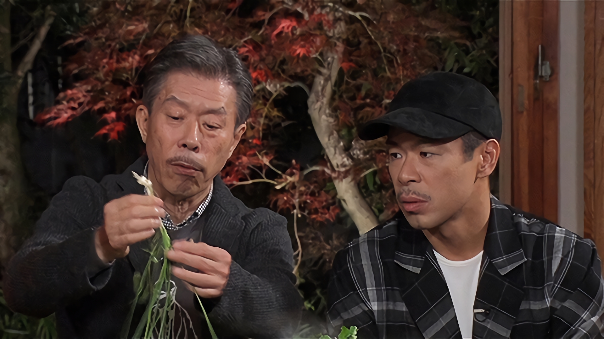 鍋と車と男と女とマツ