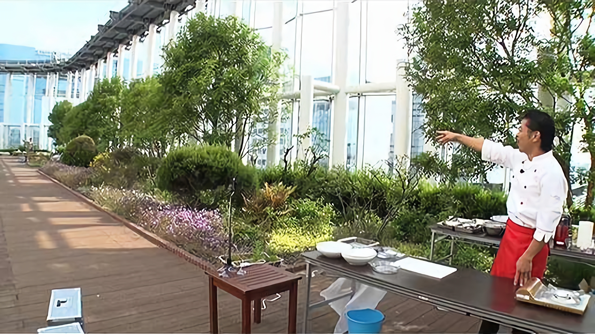 必見！覗き見料理