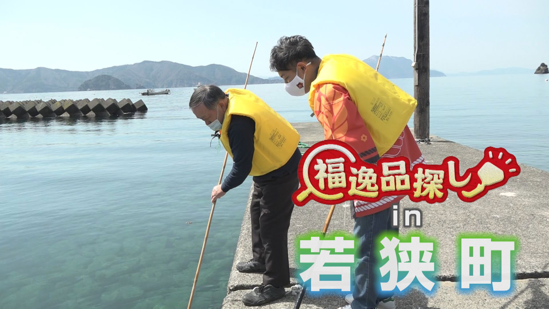 絶品の梅に旬のワカメ若狭町の春の逸品探し