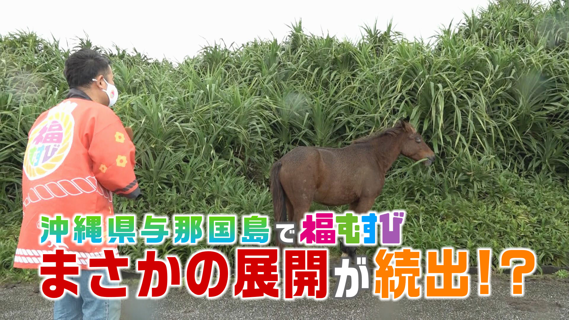 与那国島で福むすび！まさかの展開が次々と！