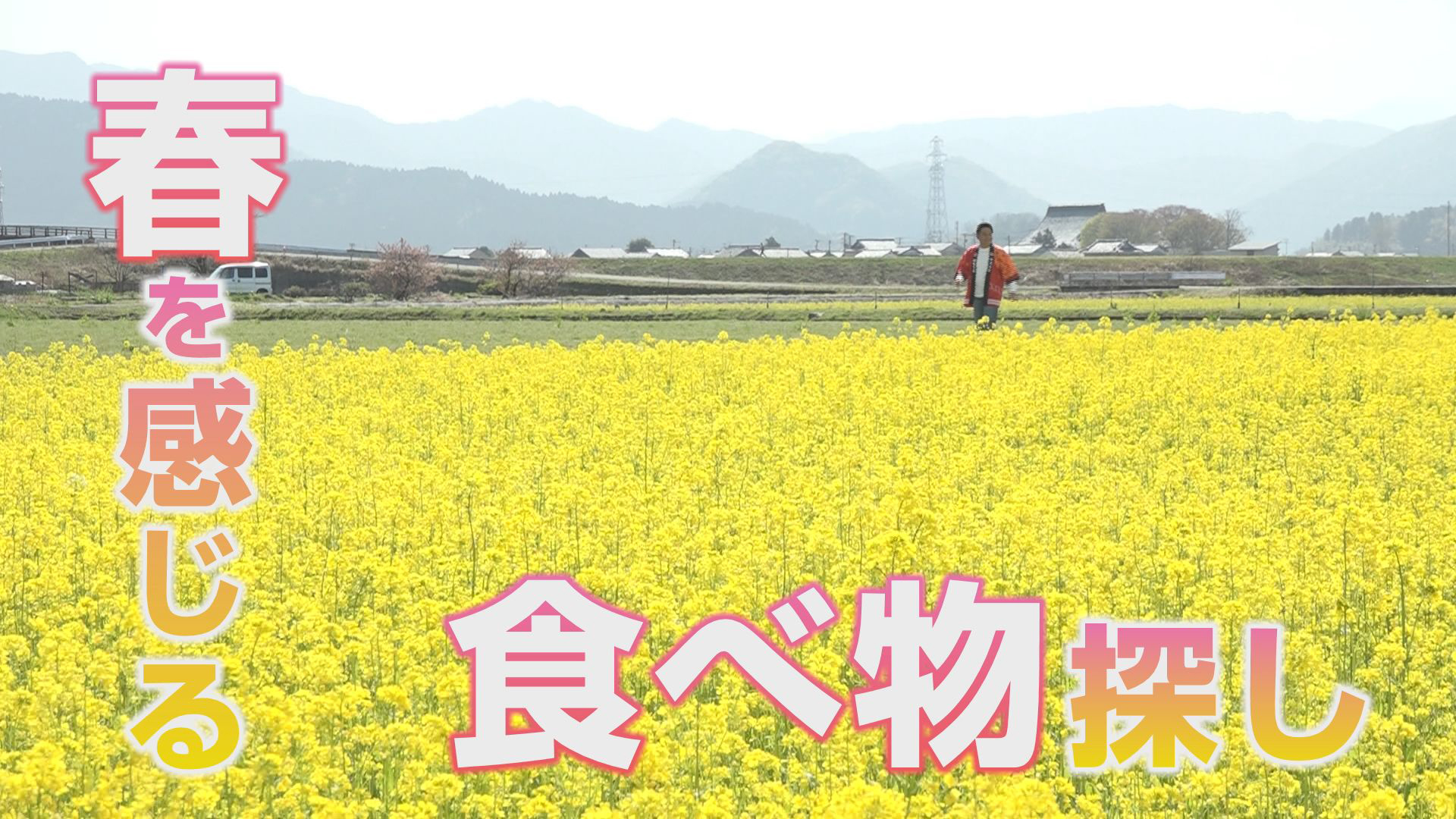 春限定の食べ物探し！