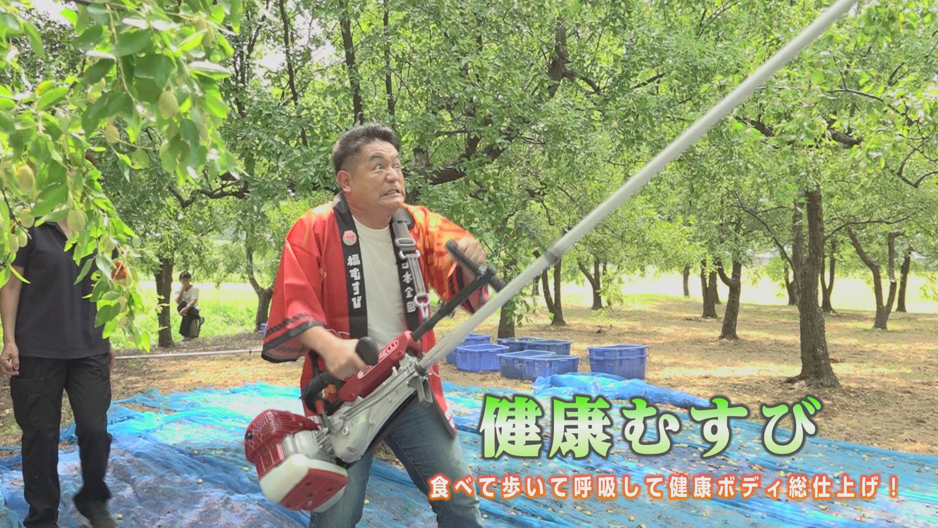 健康むすび 食べて歩いて、呼吸して健康ボディ総仕上げ