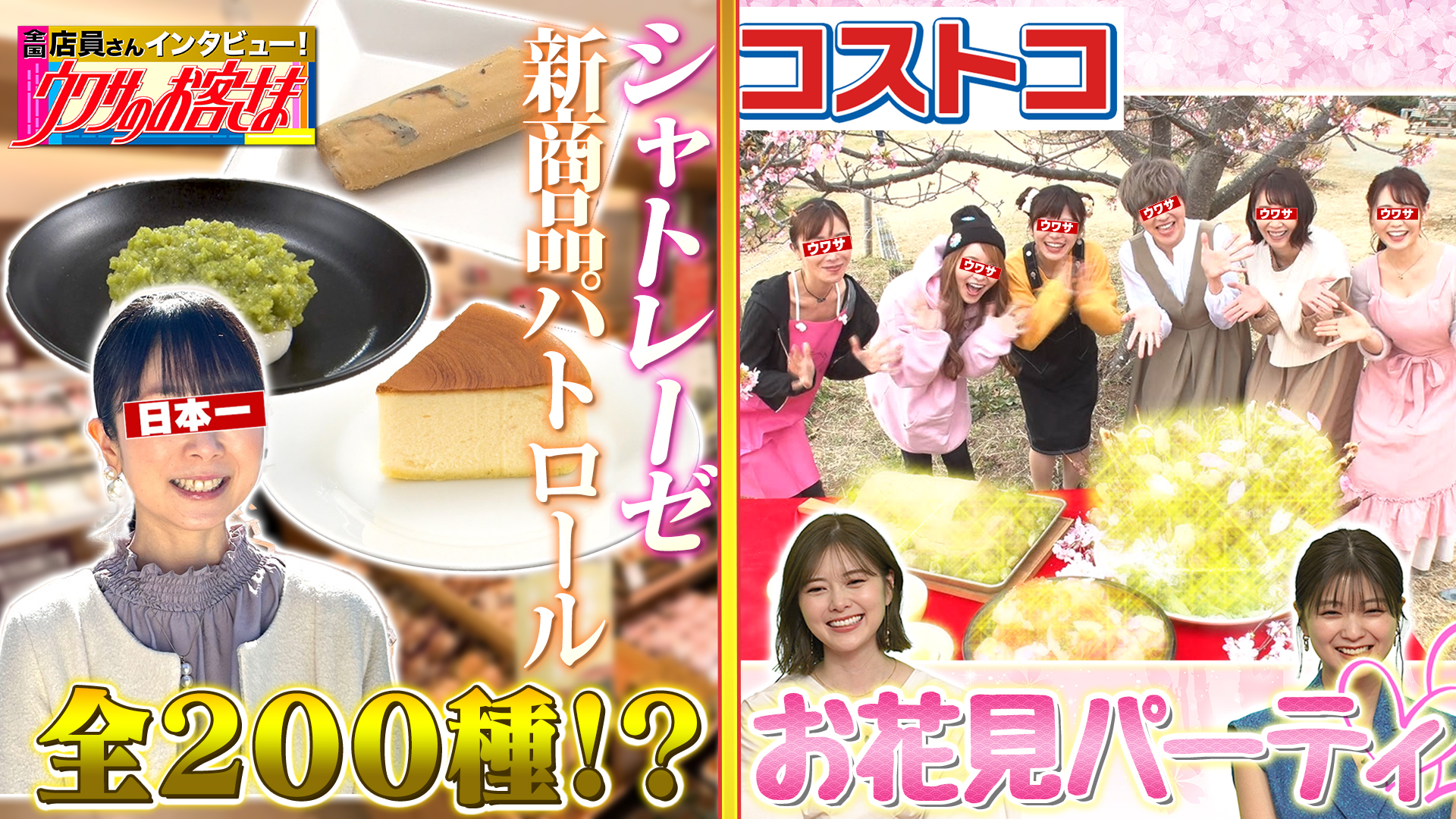 肉ｖｓ魚！コストコ食材で超デカ盛りお花見！▽カルディの達人