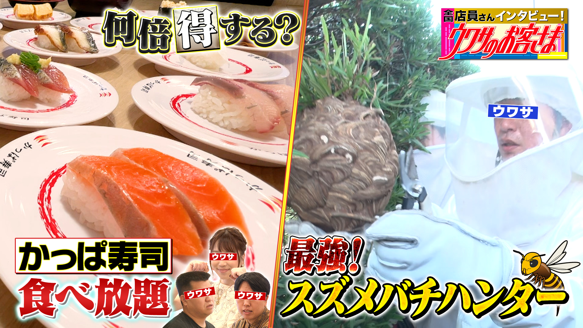 回転寿司食べ放題で大食い美女はどれくらい得できるのか？調査