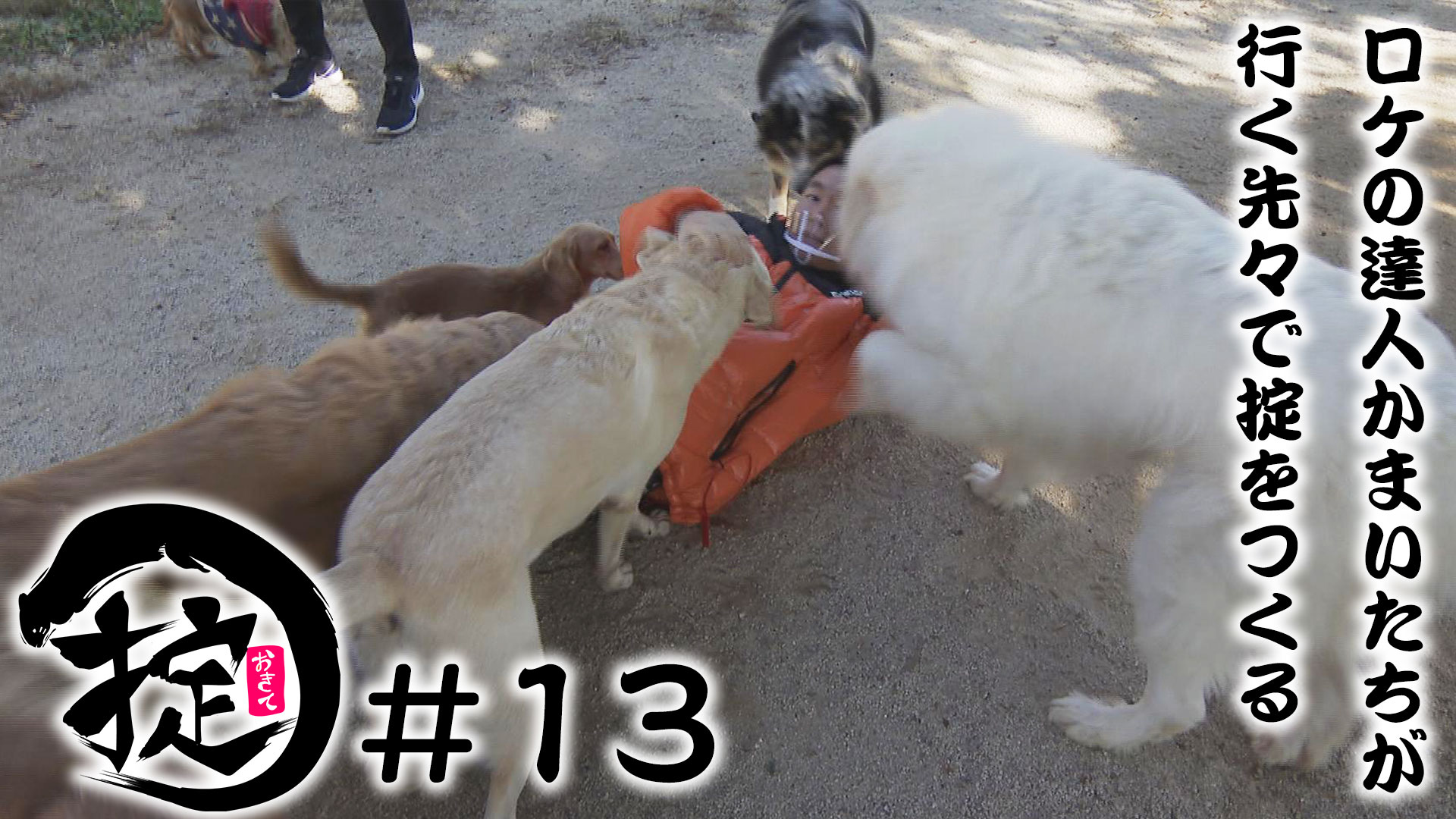 謹賀新年！動物たちと触れ合おう！！