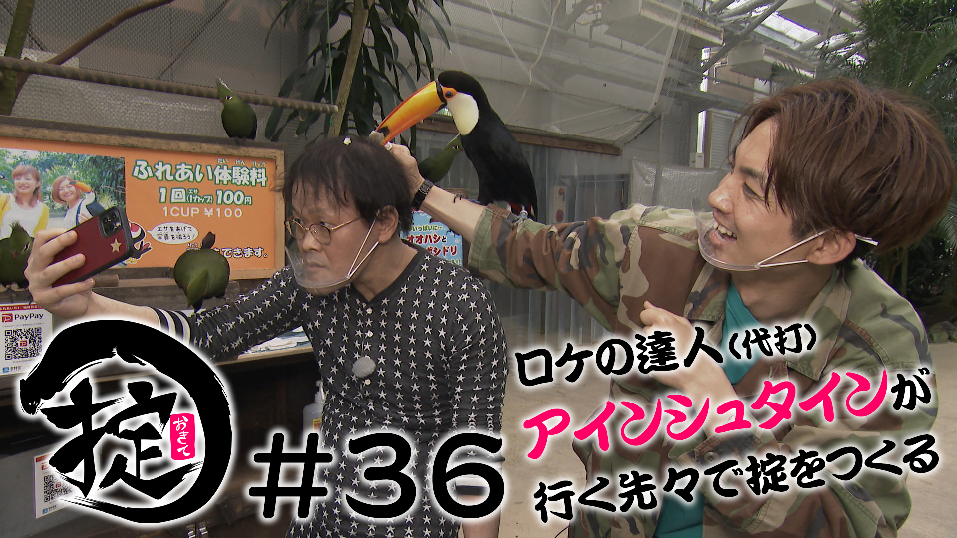 アインシュタインの掟 島根編 鳥さんと遊ぼう！