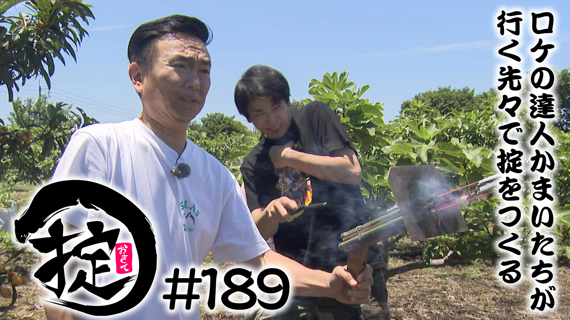 観光農園バッタ？襲来