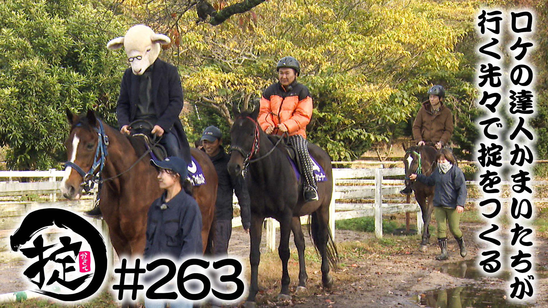 羊と一緒に乗馬体験？