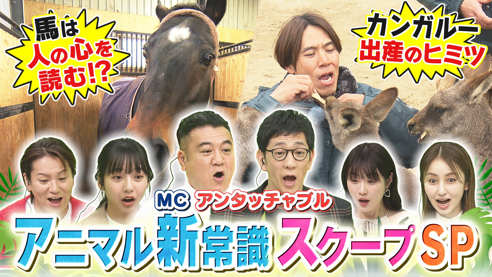 アニマル新常識スクープSP