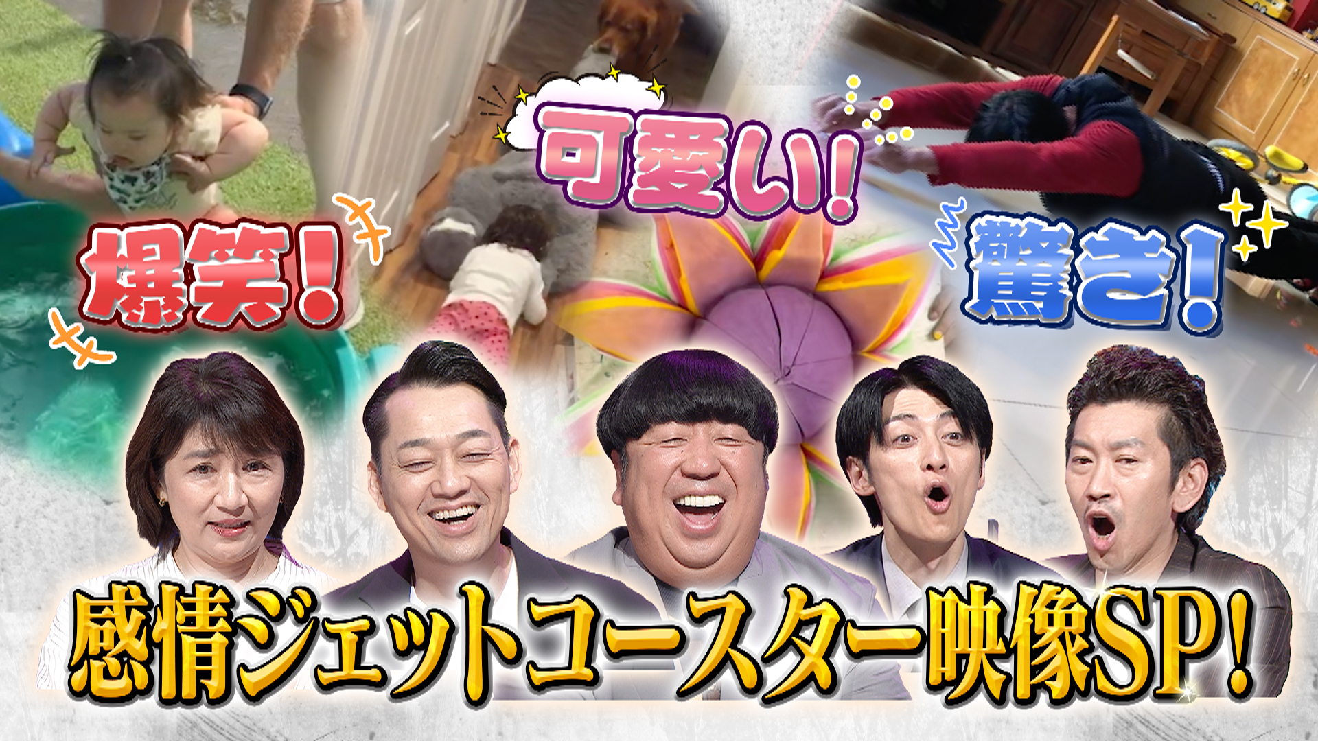 爆笑！可愛い！驚き！感情ジェットコースター映像SP！