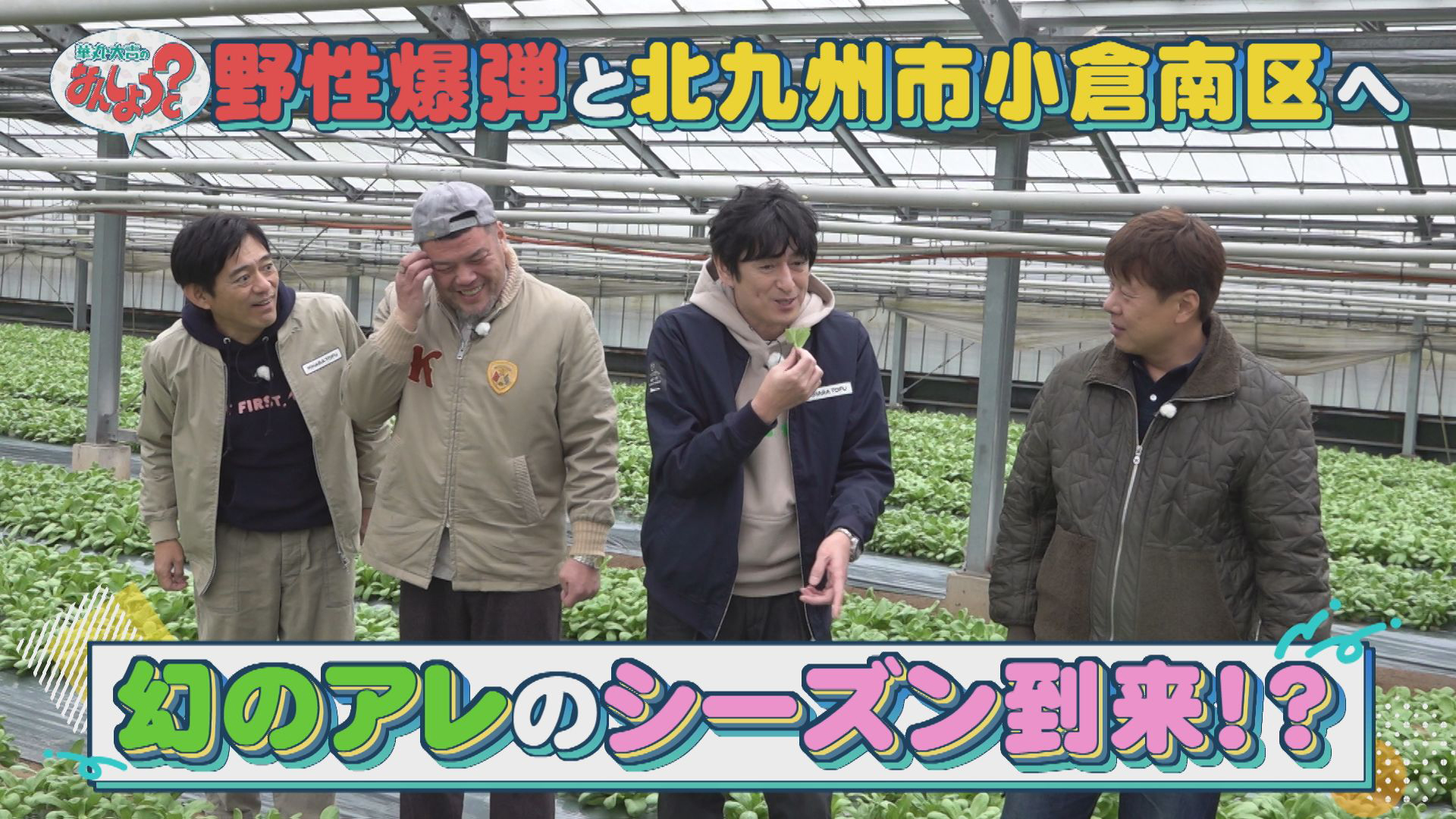 野性爆弾と北九州市小倉南区をおさんぽ