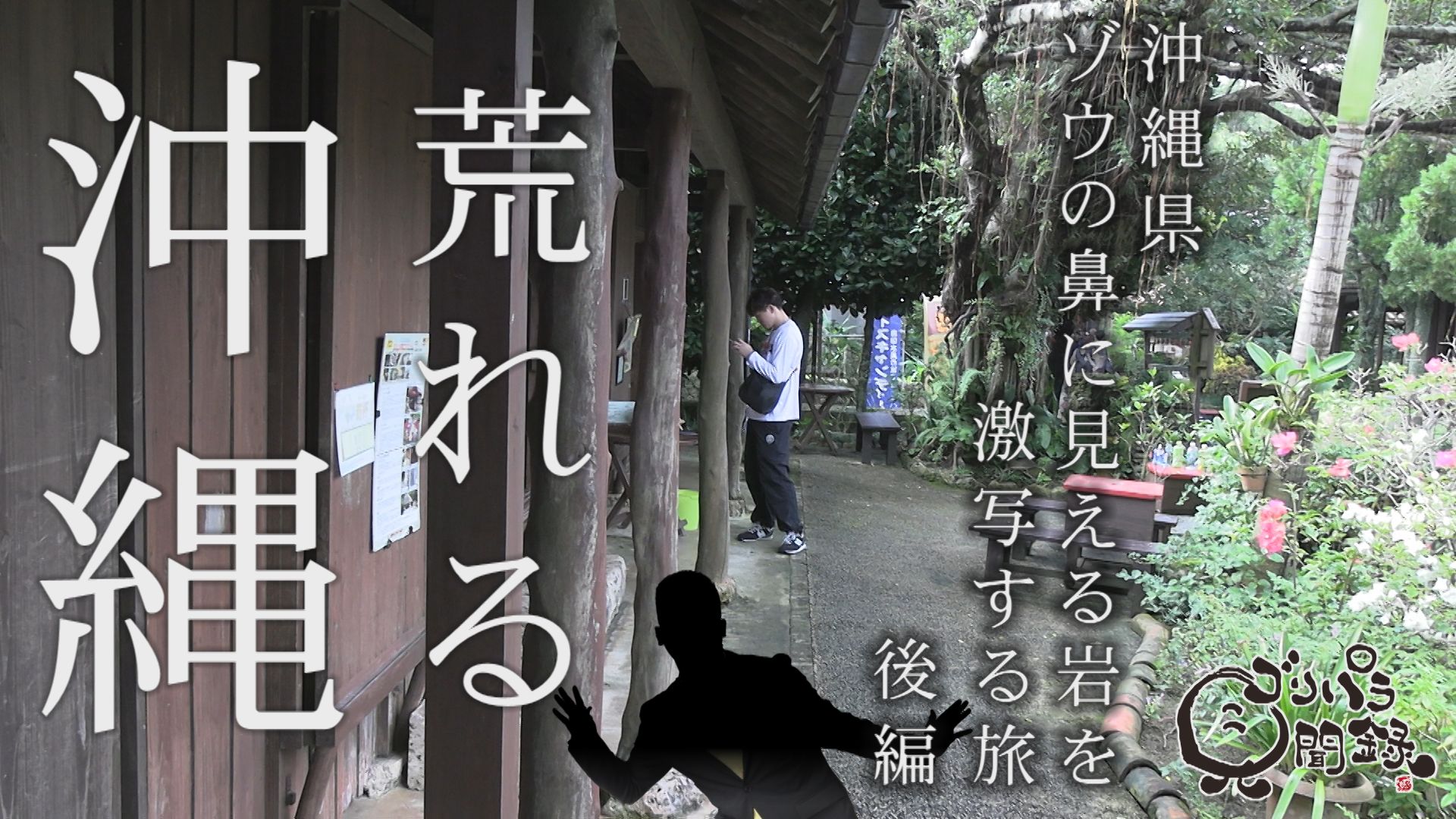 沖縄の〇〇を激写する旅