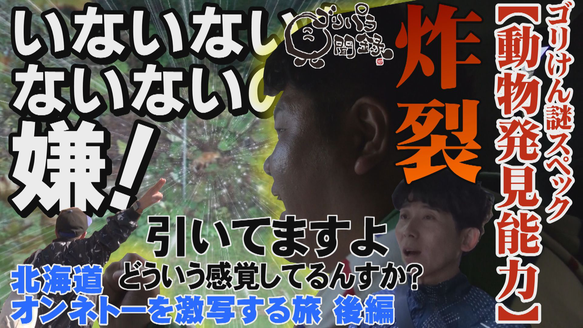 日本全国どこへでも全力で旅をします！