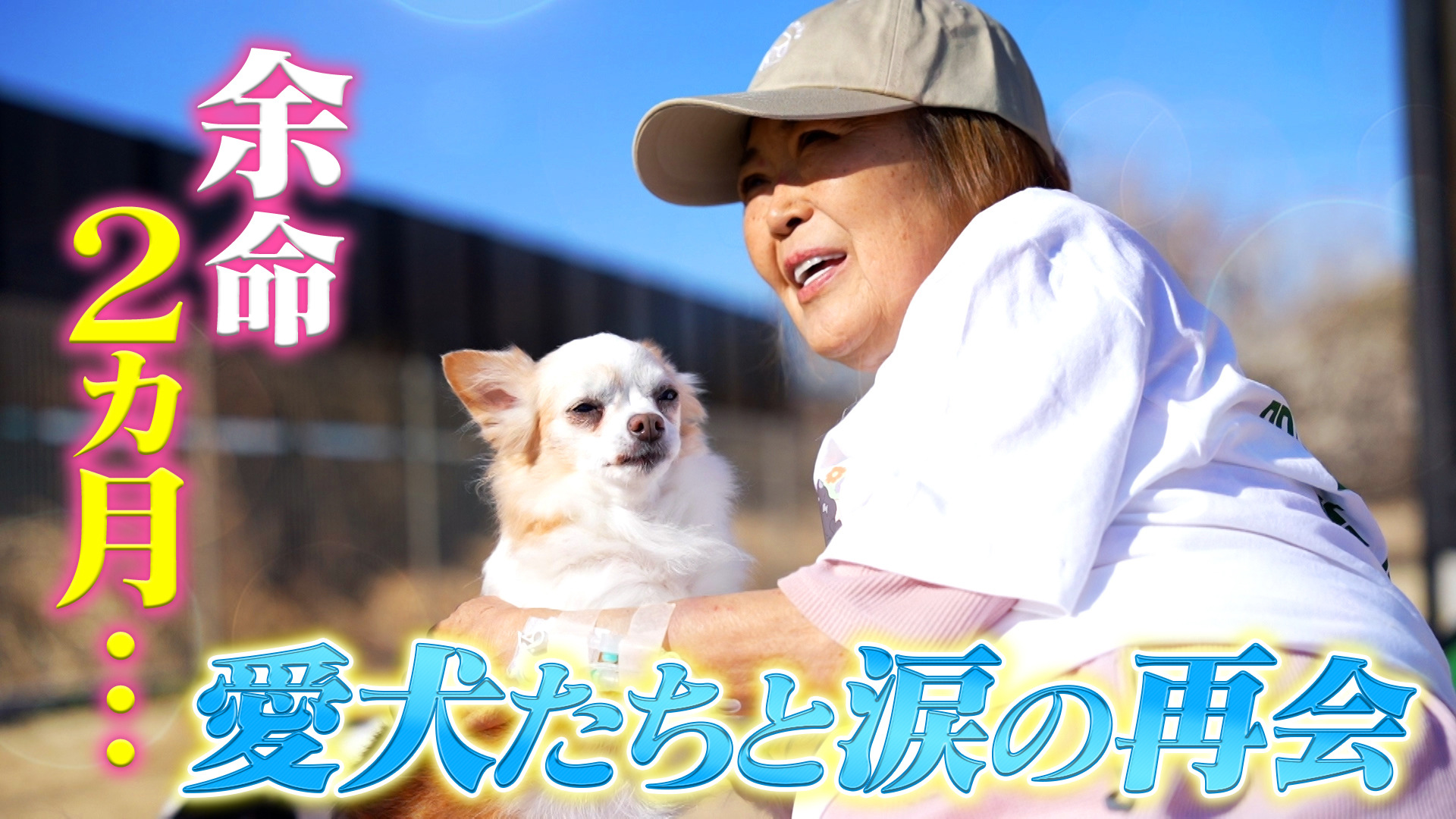 余命2ヵ月の飼い主と愛犬涙の別れ＆感動の再会