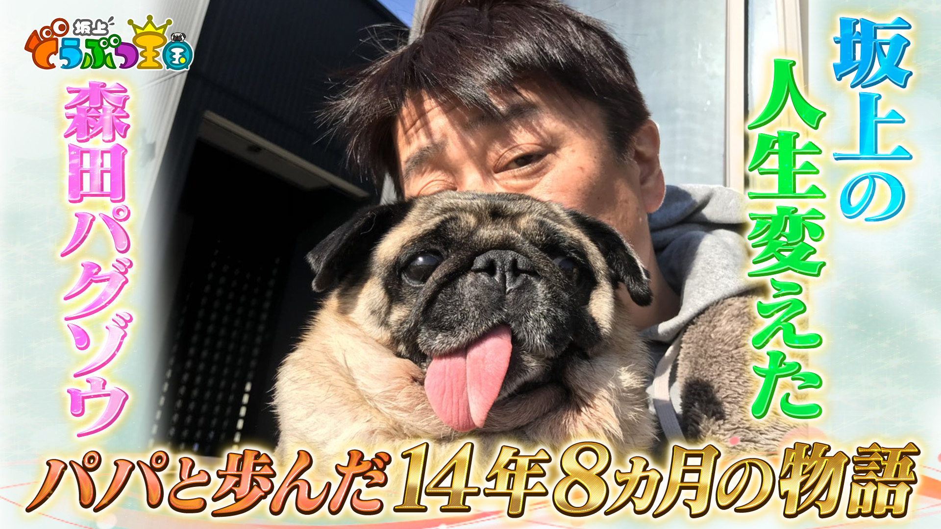 ありがとうパグゾウ・・・坂上と人生を変えた愛犬14年8ヵ月の物語