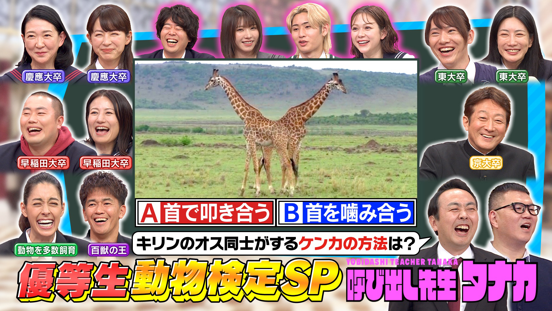 カワイイ動物の意外な生態検定３２問！東大京大早慶芸能人ＳＰ