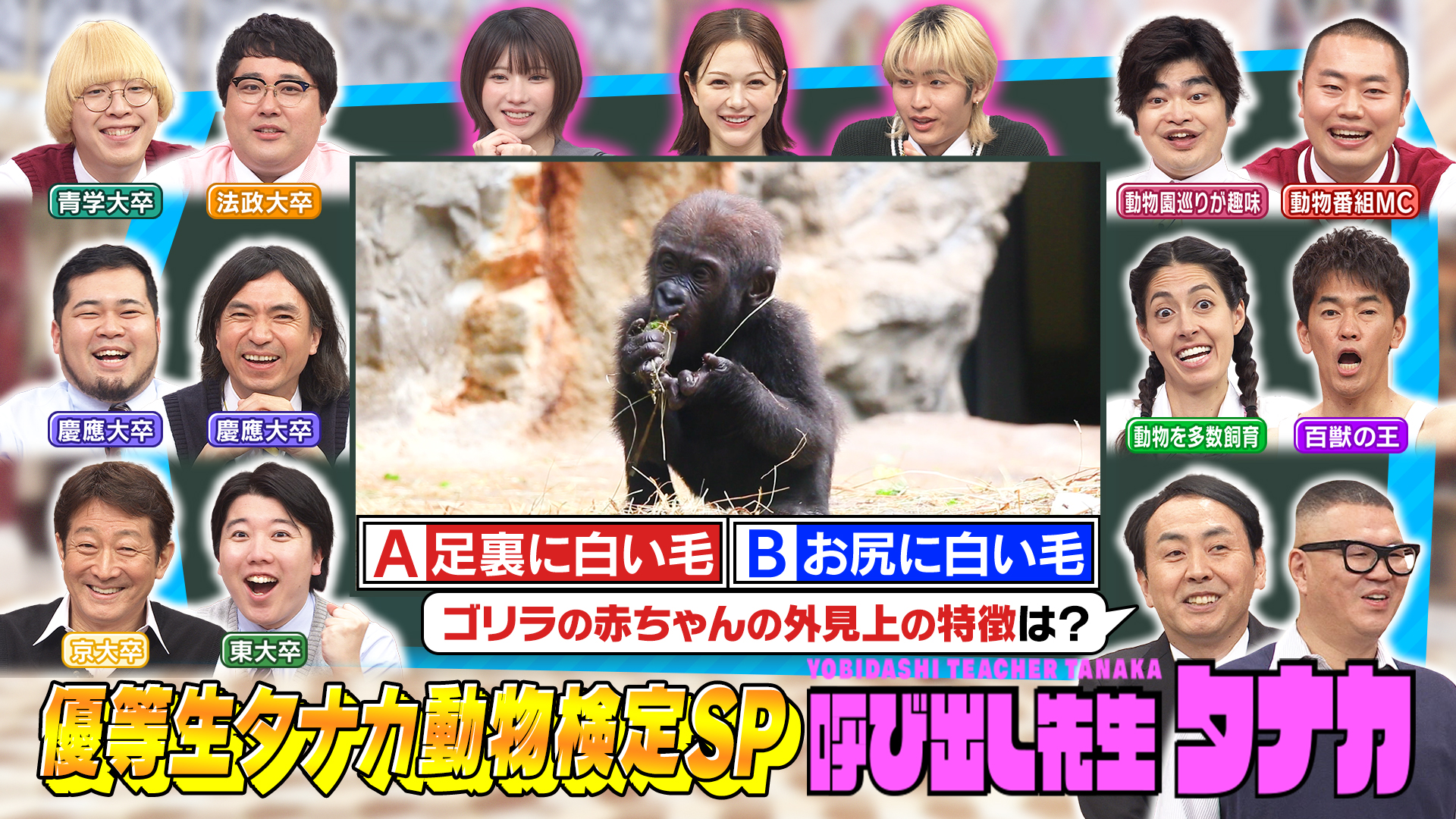 動物超カワイイ生態検定３３連発ＳＰ！ハナコ岡部連覇なるか？