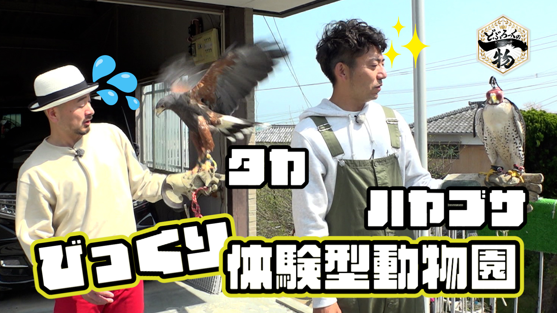 太良町編▼驚きのふれあい体験型動物園＆うどん店で海鮮丼