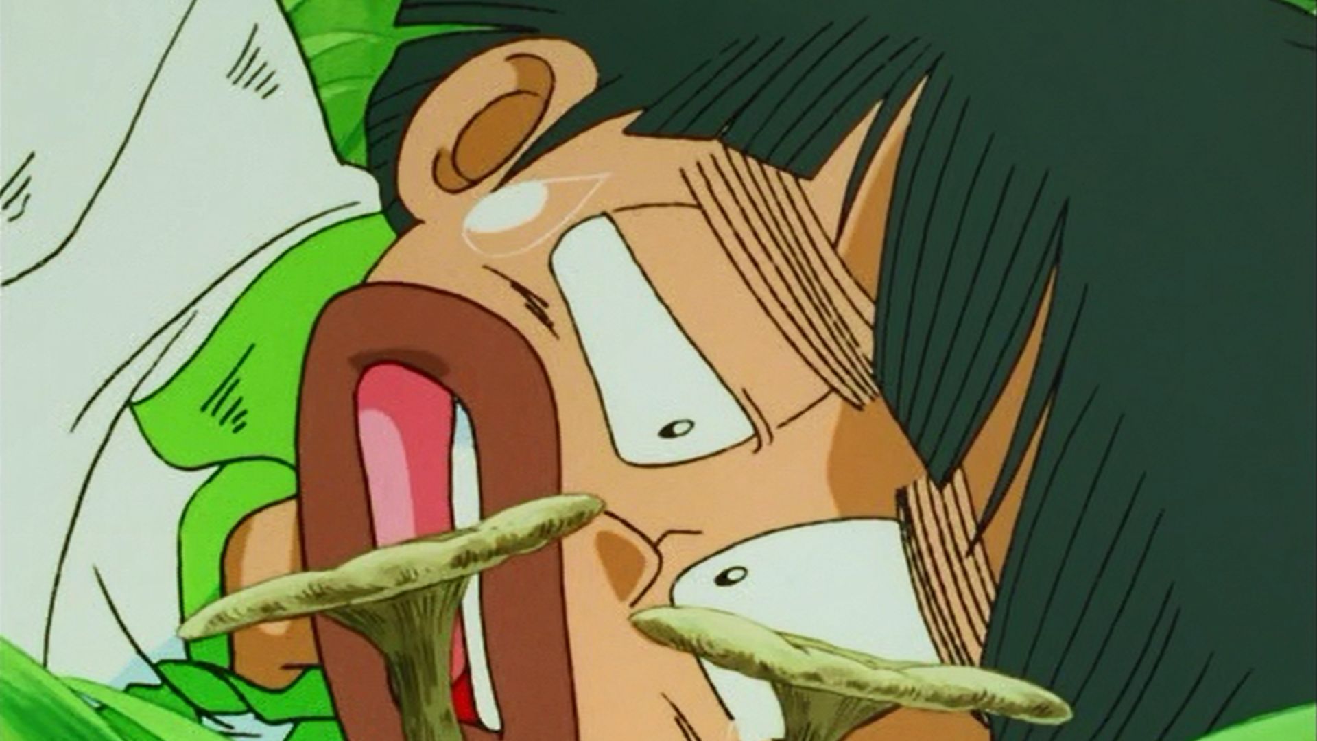 ああ！憧れのマツタケ