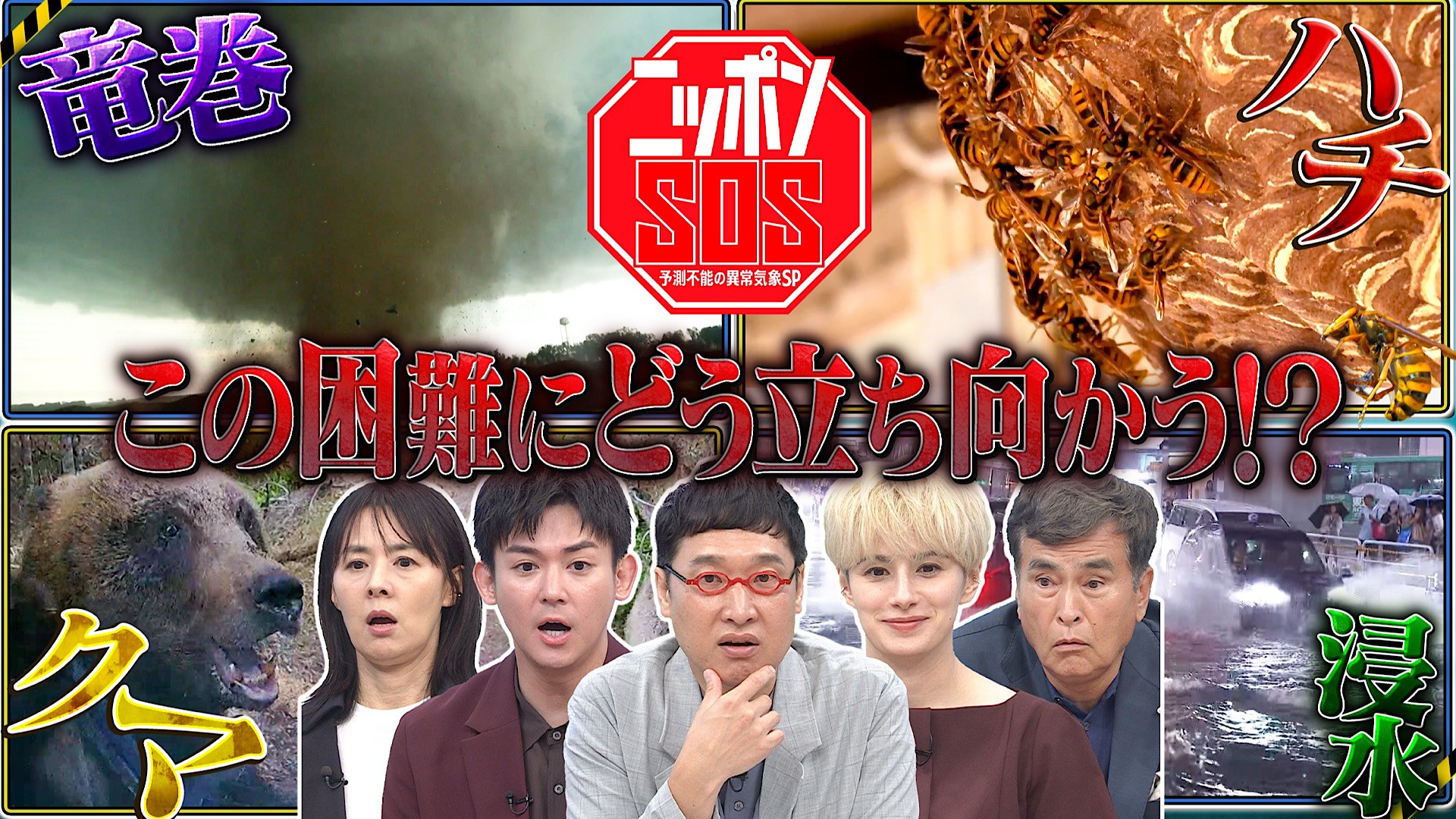 秋に潜む危険を徹底解説！今知るべき気象情報